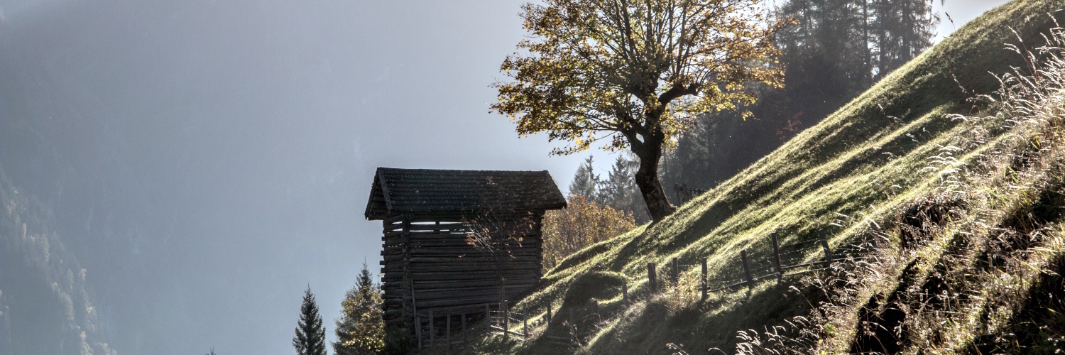 Alpska travnik v Hüttschlag