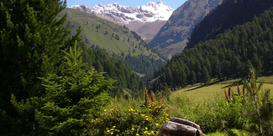 Herrliche Natur, herrlicher Ausblick