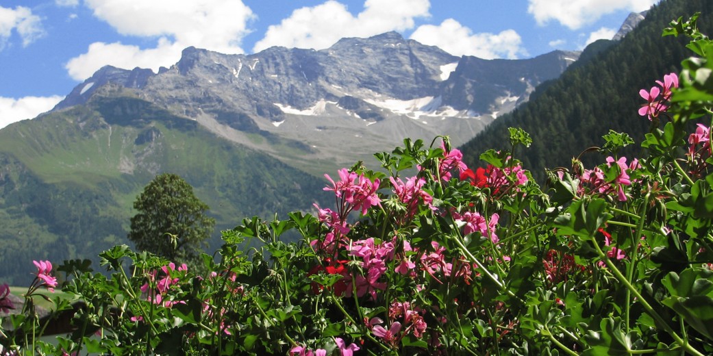 Blick vom Balkon auf die Zillertaler Alpen