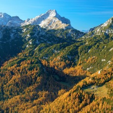 Dleskovške planote (1965 m) in Ojstrica (2350 m)