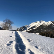 Winterwandern in Steinberg am Rofan