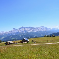 Blick zum Kreuzkofel