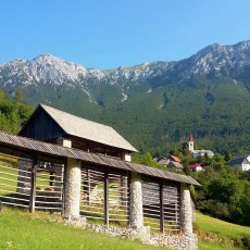 Rut liegt im Randbereich des Triglav Nationalparks. Im Hintergrund der Veliki Raskovec.