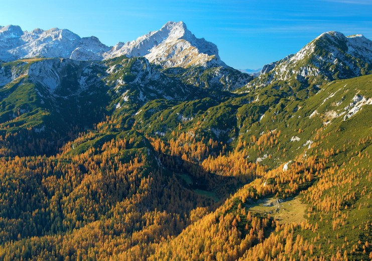 Dleskovške planote (1965 m) in Ojstrica (2350 m)