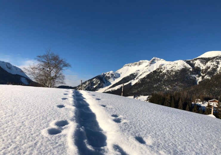 Winterwandern in Steinberg am Rofan